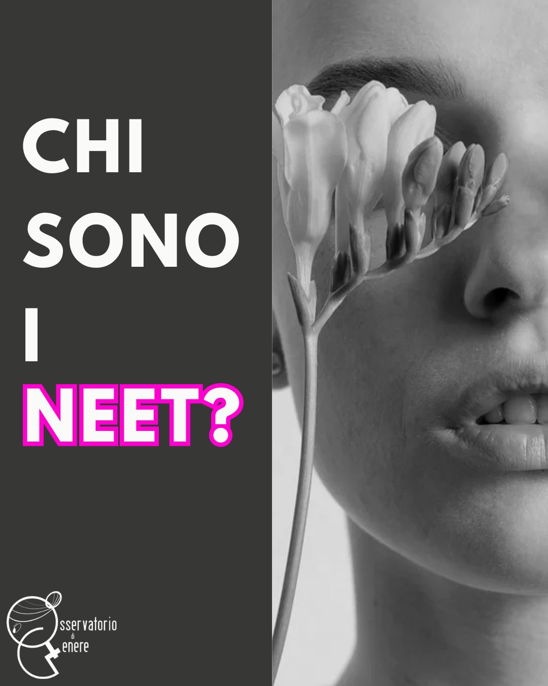Chi sono i NEET?